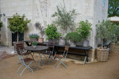 Danimarka 'daki Kopenhag şehir parkında bitkileri olan rahat bir kafe. Gökyüzünün altında bir sürü büyük bitkiyle çevrili sandalyeli bir masa.