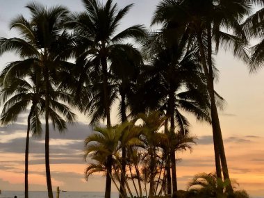 Honolulu yakınlarında Hawaii plaj günbatımı