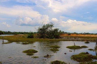 Ağacı ve bulutlu gökyüzü olan güzel bir göl manzarası.