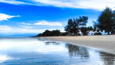 Palmiye ağaçları, mavi gökyüzü ve turkuaz deniz tatili ve Pantai Sepat, Kuantan Pahang, Malezya 'da tropikal plaj konsepti.