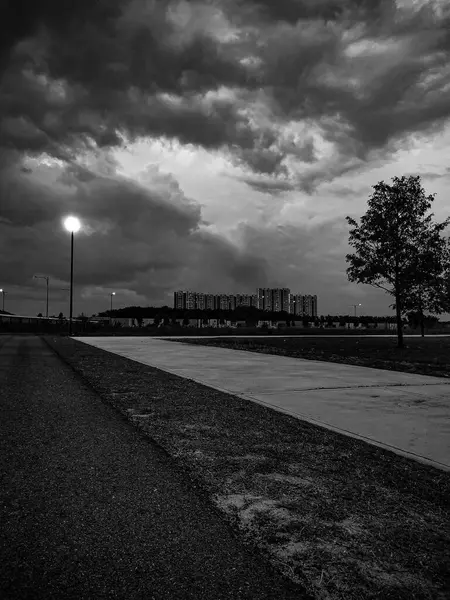 Black and white street in summer sunset or sunrise.