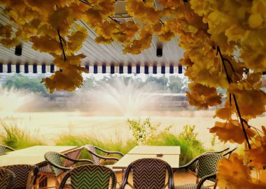 Üstte ve sağda güzel sarı çiçekler bir restoranı dekore eden iç dekorasyon gibi. Öğleden sonraki atmosfer masa ve sandalyelerin karşısındaki bir çeşme ile güzelleşir. Bu da öğleden sonraki atmosferi daha da güzelleştirir..