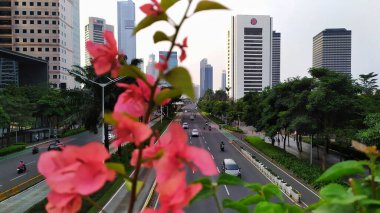 Köprüdeki pembe çiçekler, Endonezya 'nın Jakarta kentindeki Sudirman ana caddesinin manzarasını güzelleştiriyor, 4 Ağustos 2024. Sağdaki ve soldaki ağaçların ve yüksek binaların ve yanından geçen arabaların şehir manzarası..