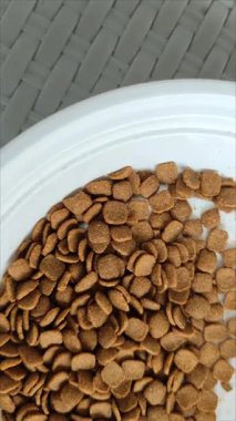 Siyah kürklü bir sokak kedisi elini yalıyor, evin verandasında çimlerin önünde banyo yapıyor. Parlak siyah kürklü bir erkek kedi..