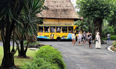 Ziyaretçiler Bali Hayvanat Bahçesi 'nin Sumatra köyüne geldiklerinde, yolculuklarına hem kolaylık hem de cazibe getiren açık sarı bir otobüsten iniyorlar. Bali, Endonezya, 26 Haziran 2025.