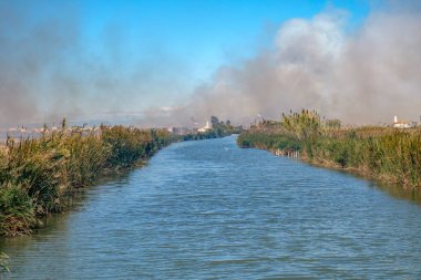 Albufera Valencia İspanya 'daki pirinç çiftçilerinde pirinç sakalı yakmak çevre kirliliği, kara gökyüzü bulutları