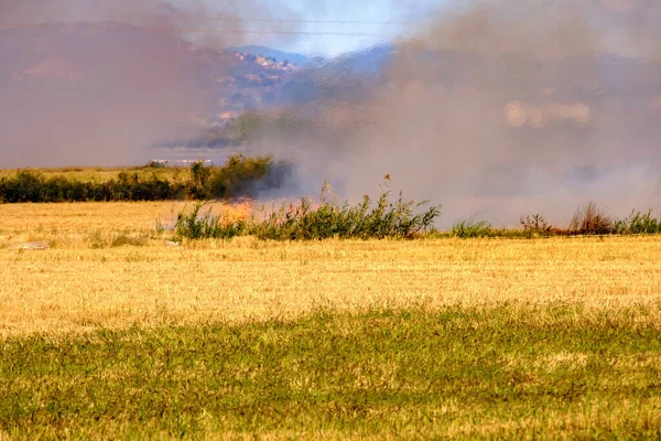 stock image Burning of rice stubble burning straw in rice farmers in Albufera Valencia Spain, pollution environmental problem, dark sky clouds