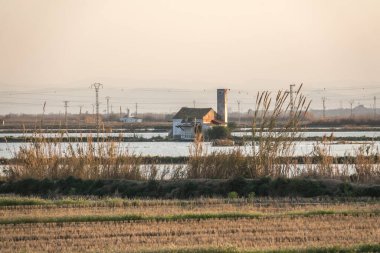 Paddy Farmlands Akdeniz geleneksel su baskını pirinci, Albufera Valencia, İspanya 'daki çiftlik evi. Sıcak renkler turuncu günbatımı su yansıması