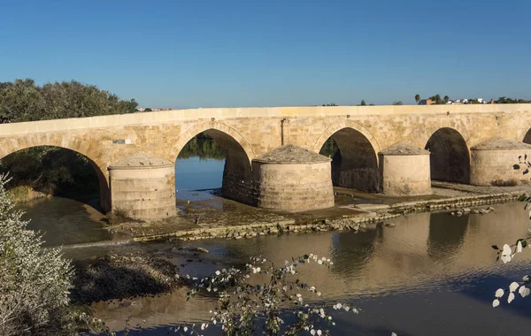 Romerska Bron Över Floden Guadalquivir Stora Moskén Cordoba Spanien — Stockfoto