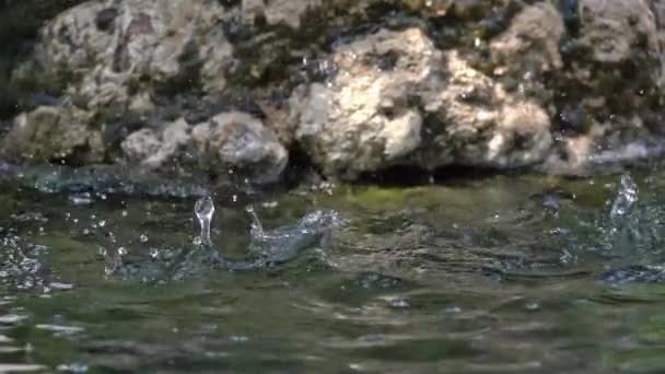 Splash Zbliżenie Spadające Krople Wody Uderza Eksploduje Zwolniony Ruch — Wideo stockowe