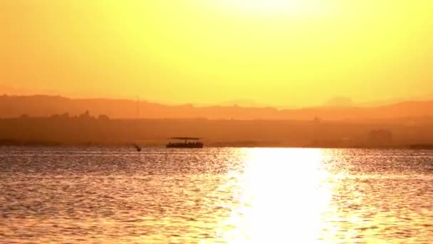 Tourists Boat Albufera Valencia Come Back Visit Natural Landscape Dusk — Stock Video