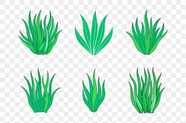 Illustrative Symbols Highlighting World Seagrass Day clipart