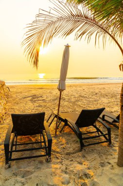 Güneş doğarken palmiye ağacı ve deniz plajı olan şemsiye koltuğu plajı - tatil ve tatil konsepti
