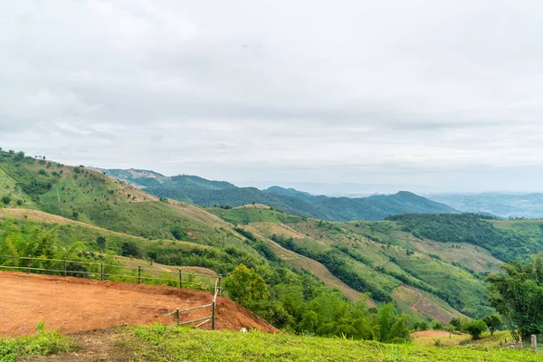 Güzel Doi Chang dağ tepesi Tayland 'da Chiang Mai' de.