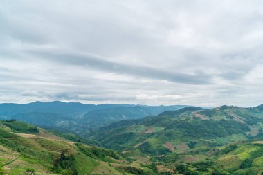 Güzel Doi Chang dağ tepesi Tayland 'da Chiang Mai' de.