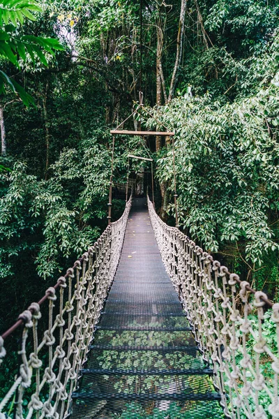 stock image sky walk in the jungle at Chiang Mai, Thailand