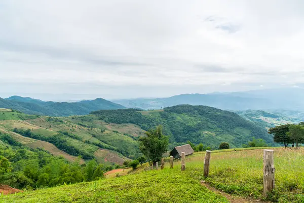 Güzel Doi Chang dağ tepesi Tayland 'da Chiang Mai' de.