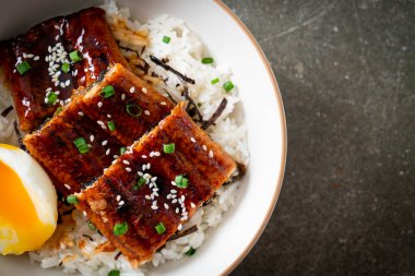 Yılan balığı pirinç kasesi veya unagi pirinç kasesi - Japon yemek tarzı.