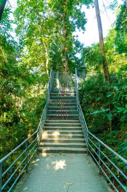Canopy 'de ormanda yürürken Queen sirikit botanik bahçesinde yürüyor. Chiang Mai, Tayland