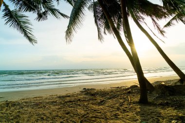 beautiful sea beach with coconut palm tree at sunset time