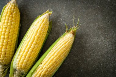 fresh corn on dark background with copy space