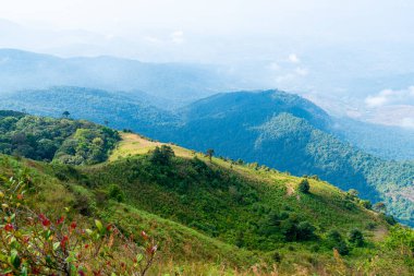 Tayland, Chiang Mai 'deki Kew Mae Pan Doğa Yolu' nda bulutlu ve mavi gökyüzü olan güzel bir dağ tabakası.