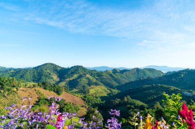 Tayland 'daki Chiang Rai' de mavi gökyüzü olan güzel dağ tepesi tabakası.