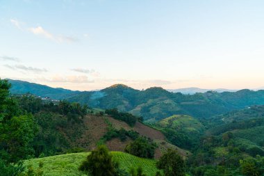 Chiang Rai, Tayland 'da mavi gökyüzü olan güzel bir dağ tepesi.