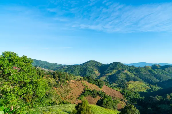 Tayland 'daki Chiang Rai' de mavi gökyüzü olan güzel dağ tepesi tabakası.
