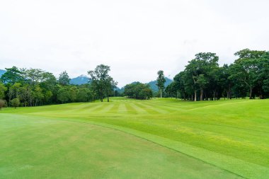 Green and Sand bunkers on Golf course with mountain hill background