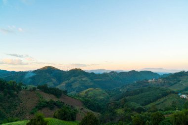 Chiang Rai, Tayland 'da mavi gökyüzü olan güzel bir dağ tepesi.