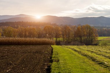 Contrast of Young Wheat and Plowed Soil Against a Sunny Mountain Backdrop. clipart