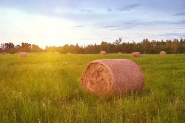 Çayırda ya da çayırda balyalanmış saman