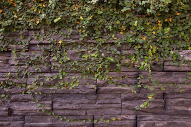 Tuğla duvar asma ile