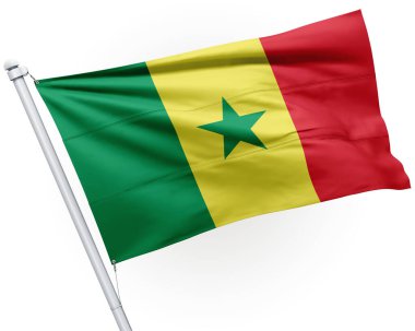 Bayrak direğinde Senegal bayrağı sallanıyor.