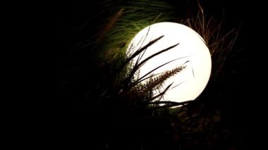 Aydınlatma arka bahçesinde çimlerin arasında elektrikli fener var..