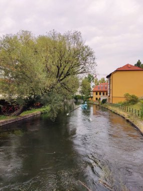 Deszczowa, Polonya 'da Sanat Kurulumu