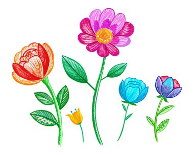 Pastel boyalı çocuk beyaza izole edilmiş renkli çiçekler çizmiş. Pastel tebeşirle çiçek açan çocuk çizilmiş.