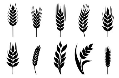 Buğday kulakları simgeler ve Logo koymak. Kimlik stili doğal ürün şirket ve çiftlik şirket için. Organik buğday, ekmek tarım ve doğal yerler. Kontur satırları. Düz tasarım.