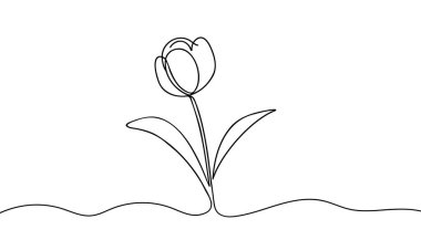 Lale bir çizgi çiziyor. Soyut çiçek sürekli çizgisi. Yapraklı çiçeğin el çizimi