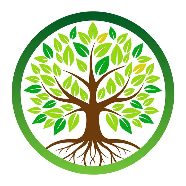 Çember ağaç logo şablonu tasarımı. Hayat ağacı. Yuvarlak bahçe doğal çizgi sembolü. İşaret levhası olan yeşil bir dal. Vektör illüstrasyonu.