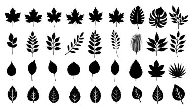 Güz, siluet vektör grafiğini tamamlar.