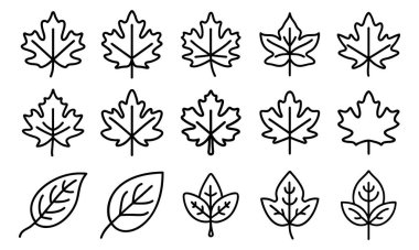 Doğrusal siyah simgeler yapraklar ve dallar ayarlandı.