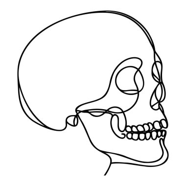 İnsan kafatası. Bir çizgi beyaz arka planda izole edilmiş cadılar bayramı kafatası. Çizgi sanatı ana hatları vektör çizimi