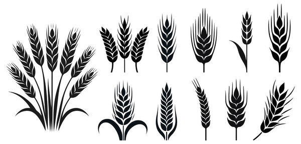 Уши иконки зерна пшеницы набор изолированных знаков символа векторной иллюстрации.