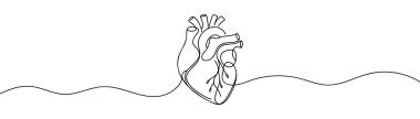 İnsan kalbi iç organı sürekli çizim halinde. İnce çizgi illüstrasyon minimalizm tarzı.