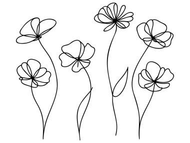 Minimalist yabani çiçeklerin kesintisiz bir çizimi haşhaş çiçekleri tek ana hatlı vektör çizimi