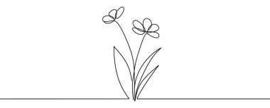 Vahşi çiçeğin aralıksız çizimi.