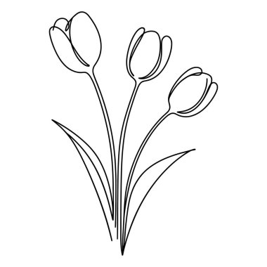 Lale Çizgisi Çizimi. Siyah beyaz çiçek buketleri. Çiçek Hattı Sanatı. İnce Çizgili lale çizimi. El çizimi çiçekler. Botanik boyama. Düğün davetiyesi çiçekleri.