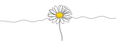 Devamlı çizim tarzında papatya çiçeği. Papatya 1 çizimi. El çizimi Düzenlenebilir Felç Vektörü illüstrasyonu.